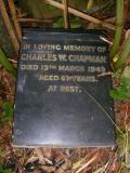 image of grave number 484428